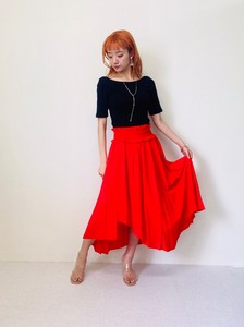 Skirt Embroidered
