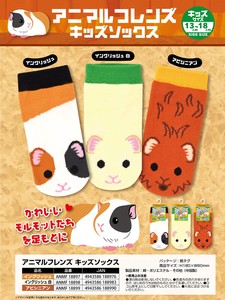 Animal Friends Kids Socks Guinea pig 3 Types