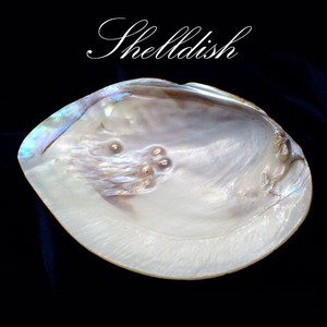 【57. 真珠シェル皿】1個売り  真珠貝 皿 風水 浄化 パール 真珠母貝 マザーオブパール