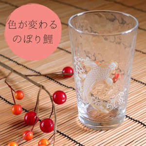 Nobori Tumbler set Mino Ware Glass Set Japanese Plates Pottery
