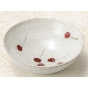 Shigaraki ware Rice Bowl Cherry 18cm