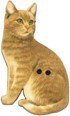 France Wooden Button cat 2 6cm