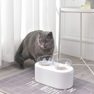 GWL-15#ペットの犬猫が鉢を食べる 0612#LDLA334