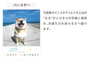 【本】【メッセージ】【誕生日】BDメッセージブック (柴犬まる) B100-33