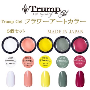Trump Flower Art Color Gel 5 Pcs Set