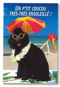 ポストカード サマーカード 「メガネをかけた黒い犬」 カラ—写真 海 ビーチ 暑中見舞い