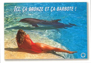 ポストカード サマーカード 「イルカと女性」 カラ—写真 海 ビーチ 暑中見舞い
