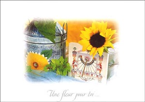 ポストカード サマーカード「ひまわり」 カラー写真 ヒマワリ 向日葵 花 暑中見舞い