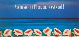 ロングポストカード サマーカード「水平線に異常なし、超クール！」 カラー写真 暑中見舞い 貝殻