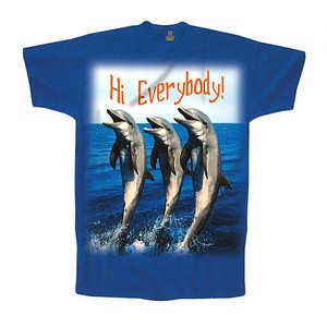 ポストカード サマーカード Tシャツ柄シリーズ 「Hi Everybody！」 カラー写真 海 暑中見舞い