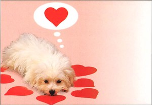 Envelope Heart Dog Set of 5 156 x 108mm
