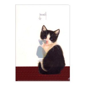 A4クリアファイル トゥイネン「フランシャンの子猫」 書類入れ  猫 アート 楽譜