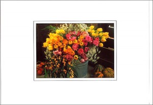 グリーティングカード 多目的 B&Bフラワーシリーズ「春のアレンジ」 花柄