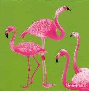 Greeting Card Design Mini Flamingo