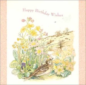 グリーティングカード 誕生日/バースデー 「花と鳥」