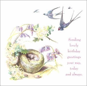 グリーティングカード 誕生日/バースデー 「鳥と花」