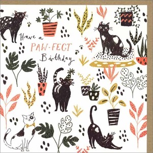 グリーティングカード 誕生日/バースデー「猫と植物」 ネコ