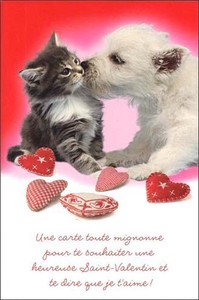 グリーティングカード バレンタイン「仲良しな猫と犬」 ハート
