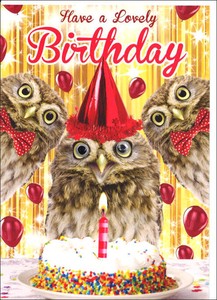 グリーティングカード 誕生日/バースデー ゴグリーズ目玉カード「フクロウ」動物 カラー写真
