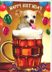 グリーティングカード 誕生日/バースデー ゴグリーズ目玉カード「犬」動物 カラー写真
