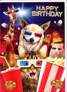 グリーティングカード 誕生日/バースデー ゴグリーズ目玉カード「猫と犬」動物 カラー写真