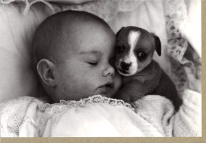 グリーティングカード 多目的 モノクロ写真「赤ちゃんと子犬」 フォト 子ども