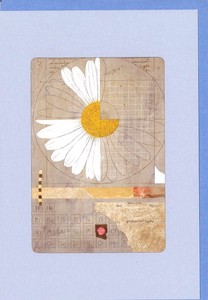 グリーティングカード 風水 ウィンドウシリーズ「デイジーのコラージュ」 窓付き 花 イラスト