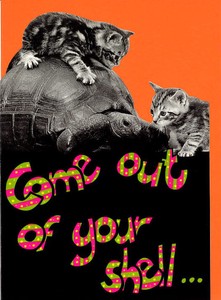グリーティングカード 誕生日/バースデー モノクロダイカット「カメと子猫：出ておいで」モノクロ写真
