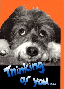 グリーティングカード 多目的 モノクロダイカット「犬：あなたのことを思っているよ」モノクロ写真