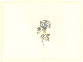ミニグリーティングカード 多目的 「バラ」 花