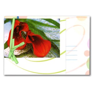 グリーティングカード 多目的 リボンコレクション「赤いカラー」花