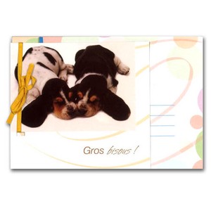 グリーティングカード 多目的 リボンコレクション「おやすみ子犬たち」動物