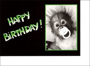 グリーティングカード 誕生日/バースデー 「サル：HAPPY BIRTHDAY!」猿 モノクロ写真 定形サイズ