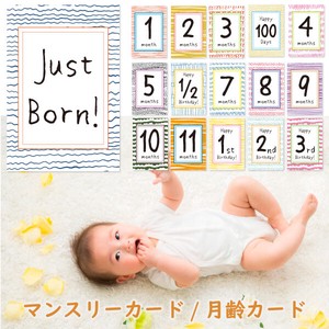 ベビーマンスリーカード「SKETCH PATTERNS」 月齢カード 赤ちゃん 誕生日出産祝い