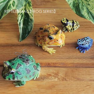 Real Creature Magnet FROG Frog Series