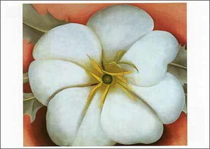 ポストカード アート オキーフ「赤い背景の白い花」