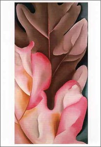 ポストカード アート オキーフ「ピンクとグレーのオークの葉」