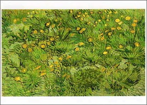 ポストカード アート ゴッホ「黄色の花畑」