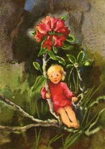 ポストカード アート ウェーバー「小さな高山のバラ」