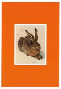 ポストカード アート デューラー「若いノウサギ」