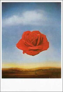 ポストカード アート ダリ「瞑想するバラ」
