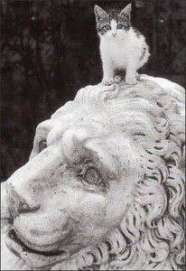 ポストカード モノクロ写真「ライオンの像に乗った子猫」