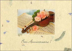 ポストカード カラー写真 ヴァイオリンとピンクのバラ