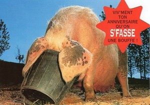 ポストカード カラー写真 ダイカットタイプ 定形外 お食事中の豚