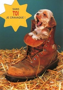 ポストカード カラー写真 ダイカットタイプ 定形外 ブーツに入った子犬