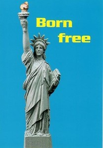 Postcard Statue Of Liberty