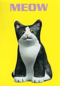 ポストカード カラー写真 猫「MEOW」
