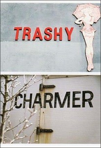 ポストカード カラー写真「TRASHY CHARMER」