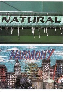 ポストカード カラー写真「NATURAL HARMONY」