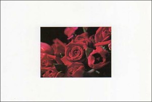 ポストカード カラー写真 赤いバラ
